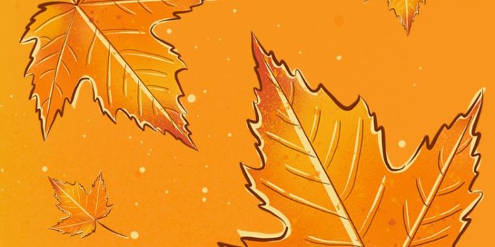 750x1334 Free Wallpapers - Autumn Leaves and Thanksgiving