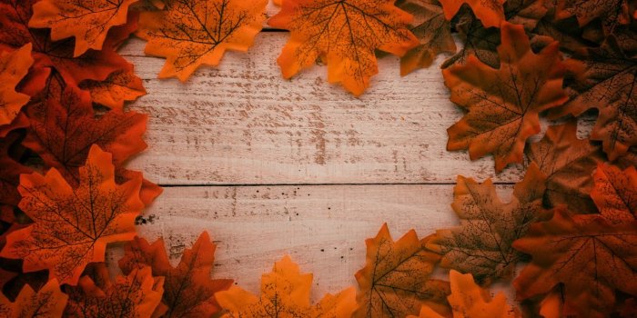 1332x850 Wallpaper autumn, Board, background, leaves, autumn, leaves, tree