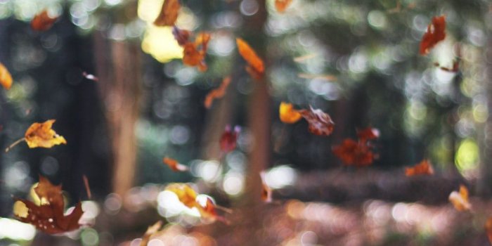 1000x1500 Autumn Wallpapers: Free HD Download [500+ HQ] | Unsplash