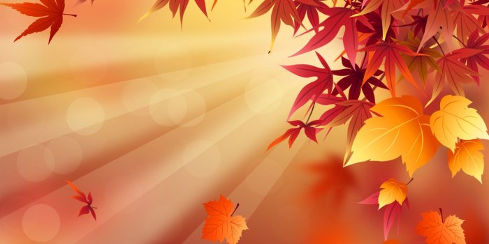 1920x1200 Autumn Background Images ·① WallpaperTag