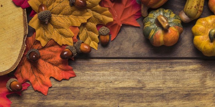 1332x850 Wallpaper wood, colorful, maple, background, autumn, maple