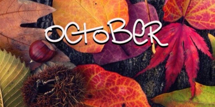 1080x1920 Autumn Leaves Wallpaper For iPhone - iPhoneWallpapers