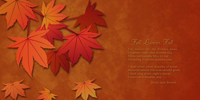 1920x1080 41 Best Free Autumn Wallpapers