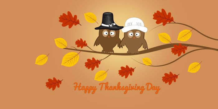 3840x2160 Thanksgiving, Tree, HD Holidat Wallpapers, Leaves, Best, Forest