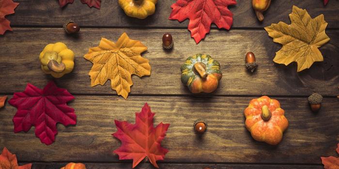 1280x720 Desktop Wallpapers Foliage Autumn Nature Pumpkin