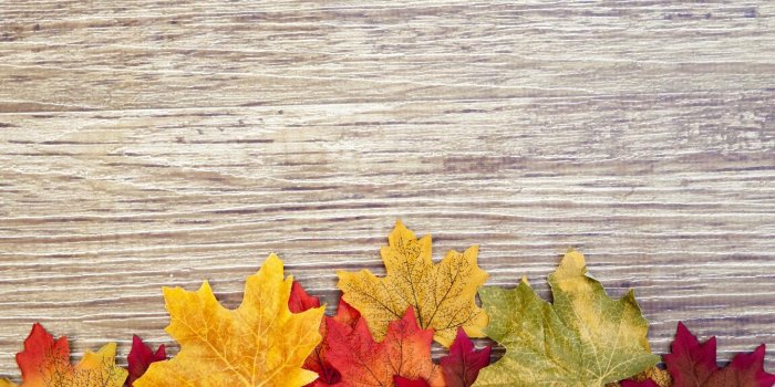 1332x850 Autumn Wood Wallpapers