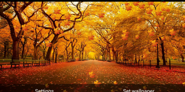 1280x720 Autumn Leaves Live Wallpaper Free Download For