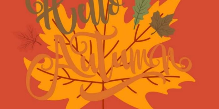 852x1280 Autumn leaves wallpaper by Zenly0429 - ad - Free on ZEDGE™