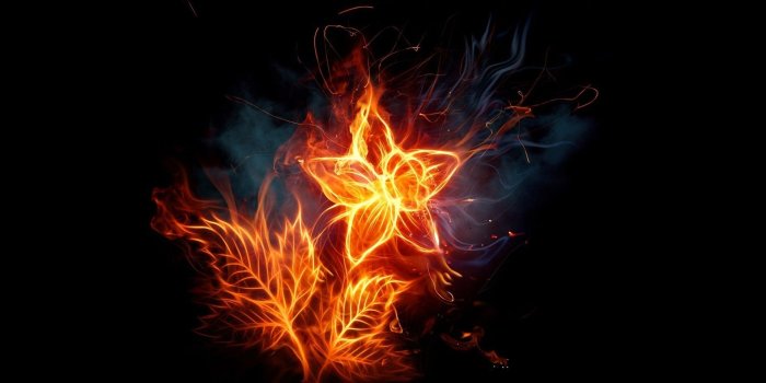 1920x1200 flames flowers fire blaze photomanipulations black background fire