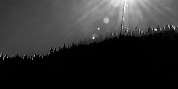 3840x2160 Other: Black White Sun Abstract Forest Tree Ridge Phone Wallpapers