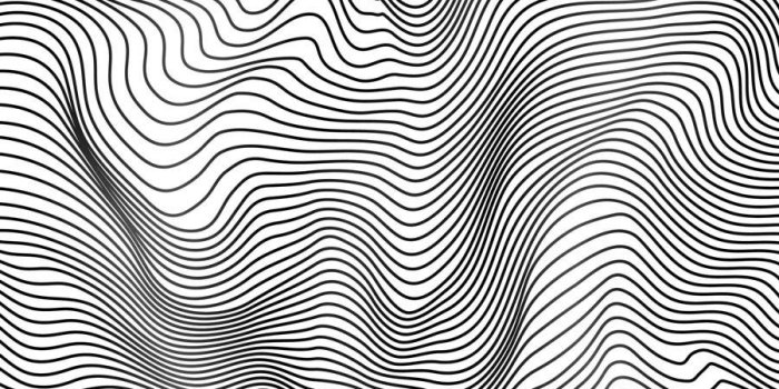 900x900 Abstract Black And White Wavy Stripes Mural | Murals Your Way