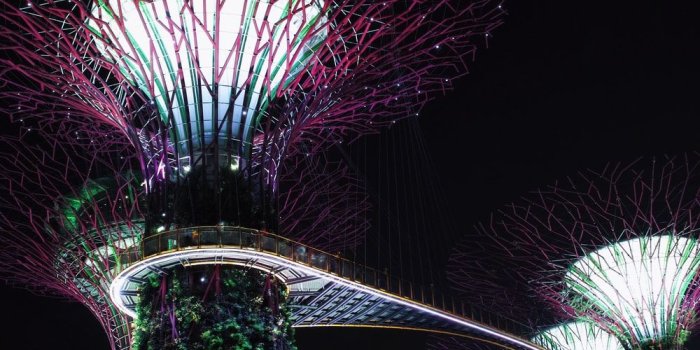 1000x1496 Singapore Night Pictures | Download Free Images on Unsplash