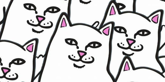 1152x2048 Collage RipnDip (With images) | Cat phone wallpaper, Phone