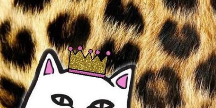 768x1028 Ripndip Wallpaper Art for Android - APK Download