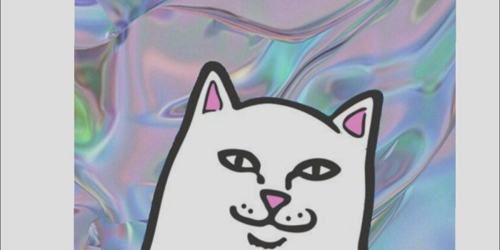 1374x1792 Rip - Rip N Dip Logo Png (#2020425) - HD Wallpaper & Backgrounds