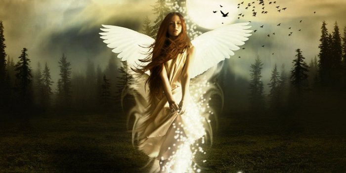 1920x1200 Best Angel Wallpapers Hd (#1896896) - HD Wallpaper & Backgrounds
