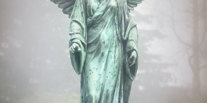 1000x1500 Angel Pictures | Download Free Images on Unsplash