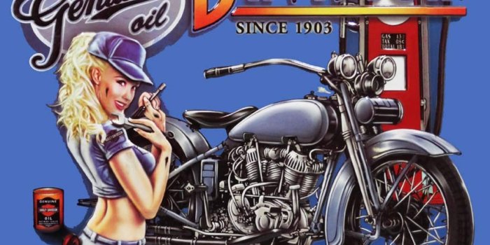 878x1166 Pin Up Harley Davidson Wallpaper