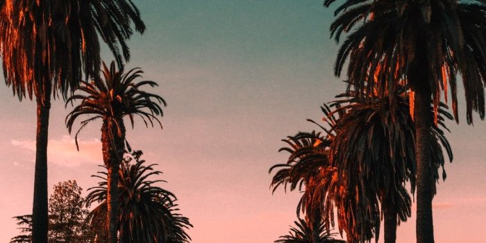 1000x1500 California Wallpapers: Free HD Download [500+ HQ] | Unsplash
