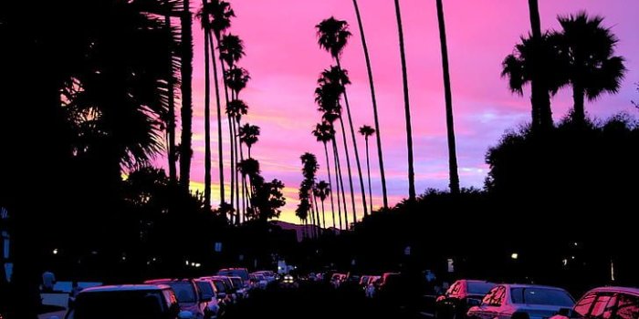 728x1092 HD wallpaper: sunset, palm trees, road, car, California, dark