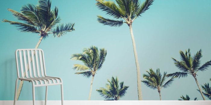 1640x1064 California Palm Trees Wallpaper Mural | Palm trees wallpaper