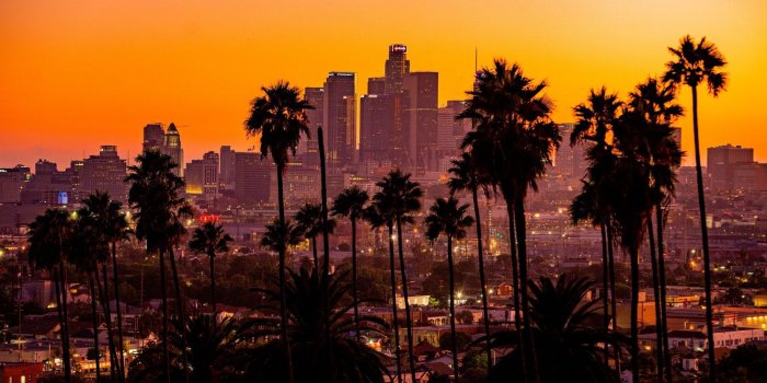1332x850 Wallpaper los angeles, palm trees, skyscrapers, California, city