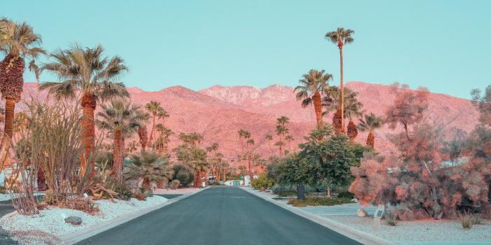 1332x850 Wallpaper palm trees, mountains, road, ONCE UPON A TIME IN