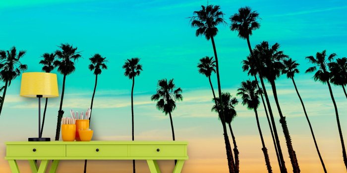 1916x2000 California SoCal Tropical Sunset Palm Trees Large Wall Mural