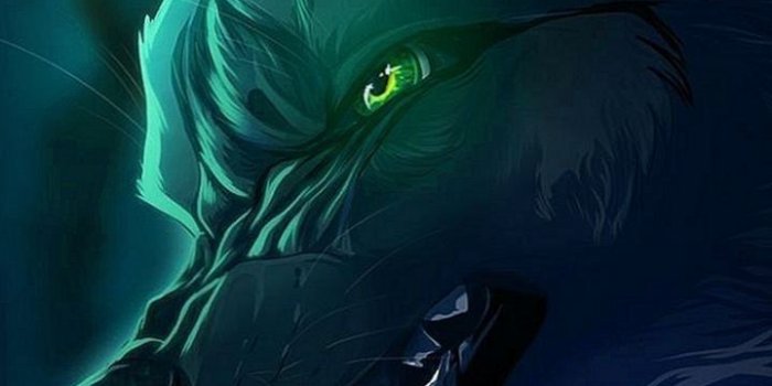 720x1281 Animated Wolf Wallpapers For iPhone | Anime wolf, Fantasy wolf