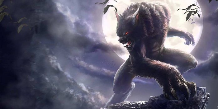 1280x720 Werewolf Animated Wallpaper http://www.desktopanimated.com/
