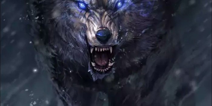 1080x1920 Warrior of the Night | Anime wolf, Wolf artwork, Fantasy wolf