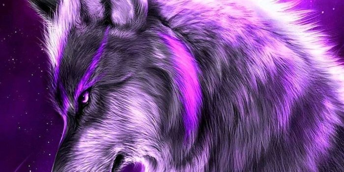 1056x1879 Animated Wolf Logo Wallpapers - Wolf-Wallpapers.Pro | Wolf painting, Wolf  wallpaper, Anime wolf