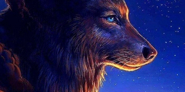 704x1252 Wallpapers Of Animated Wolf - Wolf-Wallpapers.Pro