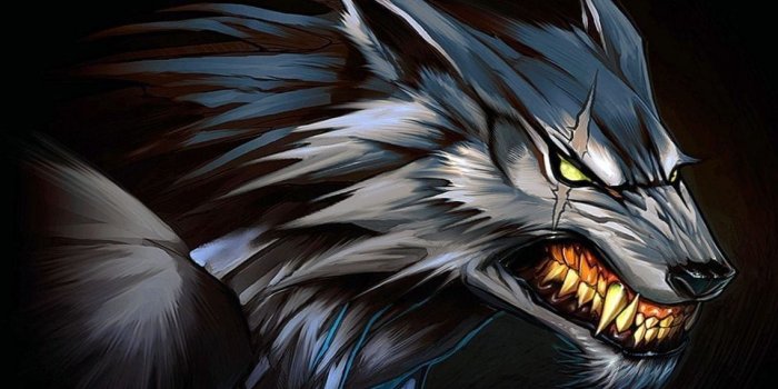 1138x802 Anime Werewolf Wallpapers | Wolf wallpaper, Werewolf art