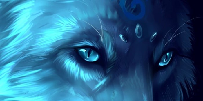 1080x1920 90 Inspirational Animated Wolf Inspiration - Cameeron Web