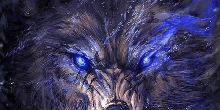 1056x1879 Anime Wolf Wallpapers Android - Wolf-Wallpapers.Pro
