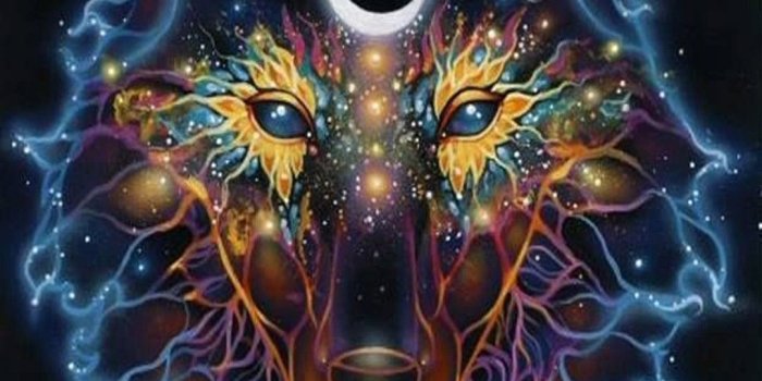 1080x1920 71+ Animated Wolf Wallpapers on WallpaperPlay