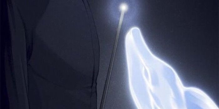 700x1245 ▷ 1001+ ideas for a magical Harry Potter wallpaper