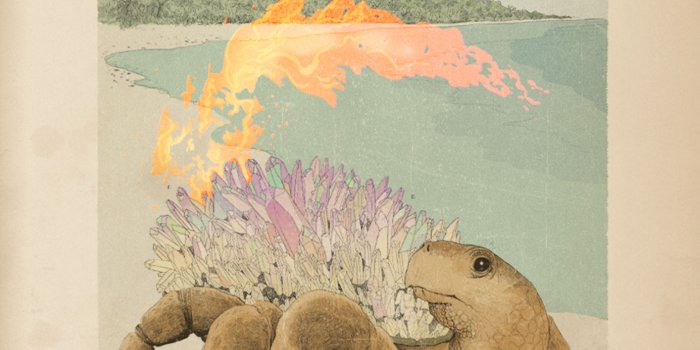 1536x2048 Download Hagrid's Magical Creatures Motorbike Adventure