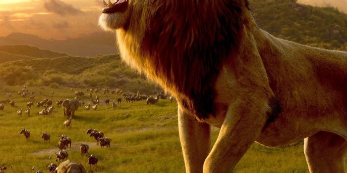 1440x3040 Download 1440x3040 Simba, The Lion King, Roar, Cliff Wallpapers