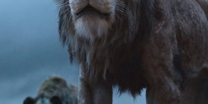 800x1280 800x1280 Scar The Lion King 2019 Nexus 7,Samsung Galaxy Tab 10