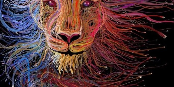 800x1280 800x1280 Lion Wires Art Nexus 7,Samsung Galaxy Tab 10,Note Android