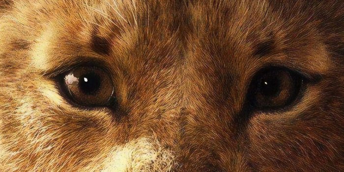 1440x2960 Download 1440x2960 wallpaper simba, the lion king, 2019 movie
