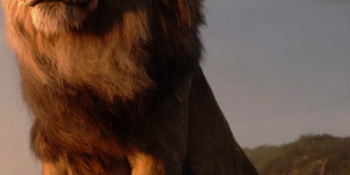1440x2960 1440x2960 The Lion King 4k Samsung Galaxy Note 9,8, S9,S8,S8+ QHD