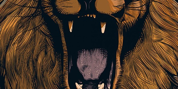 1080x1920 Wallpapers packaging and labeling, illustration, lion, felidae