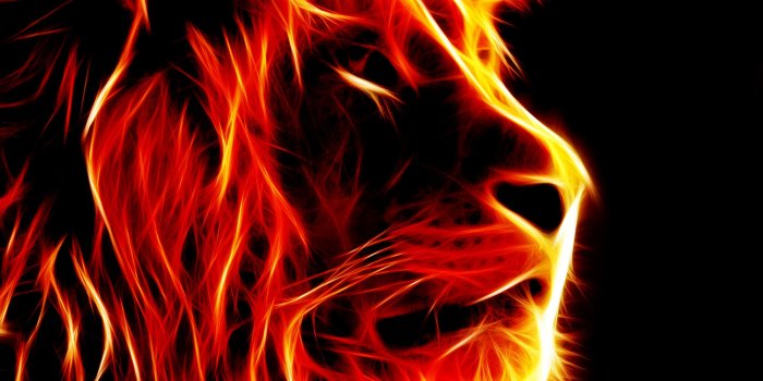 2560x1600 Fire Lion Wallpapers ·① WallpaperTag