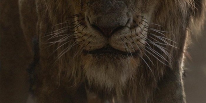 1080x2220 the lion king 2019 scar - Android Phone Wallpaper Download