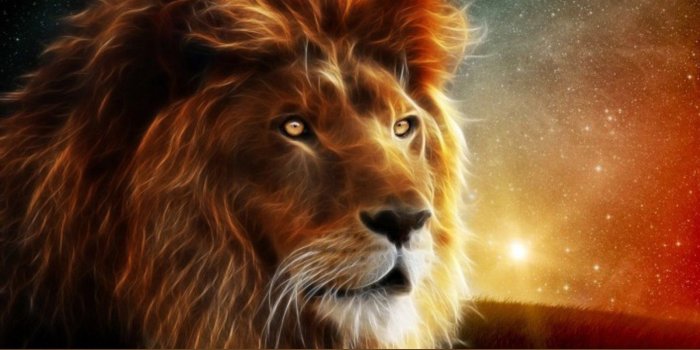 1600x1572 Avikalp Exclusive Awi2796 Lion Digital Art Animal Full HD