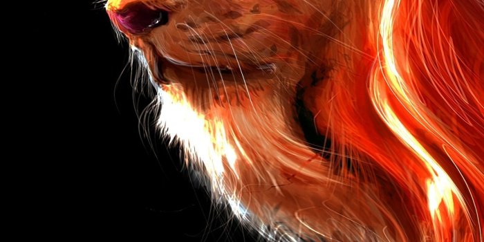 1440x2630 samsung wallpaper art #Hintergrundbild #tapete 440 in 2020 | Lion