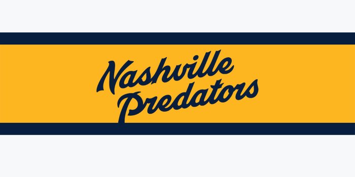 3840x2160 Nashville Predators Winter Classic Wallpapers - Album on Imgur
